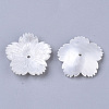 5-Petal Plastic Bead Caps KY-T015-21A-B03-2