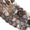 Natural Botswana Agate Beads Strands G-P611-C08-01-4