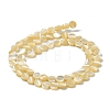 Natural Trochus Shell Beads Strands BSHE-P033-02-4