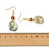 Natural Paua Shell Dangle Earrings EJEW-JE07429-01-5