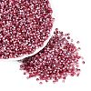 Baking Paint Glass Seed Beads SEED-Q041-03A-08-1