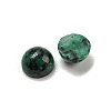 Natural Green Spot Jasper Cabochons G-H309-03-44-2