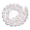 Natural Cultured Freshwater Pearl Beads Strands PEAR-N014-08F-4