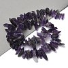 Natural Amethyst Beads Strands G-B169-A01-2