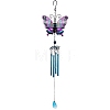 Glass Pendant Decorations PW-WG59099-04-1