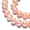 Natural Cultured Freshwater Pearl Beads Strands PEAR-N013-06D-4