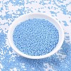 MIYUKI Round Rocailles Beads SEED-G007-RR0413F-1