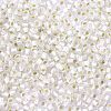 TOHO Round Seed Beads X-SEED-TR11-0021F-1
