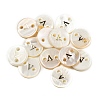 Freshwater Shell Buttons BUTT-Z001-01V-1