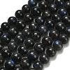 Natural Black Labradorite Beads Strands G-L642-B15-8mm-2