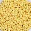 Baking Paint Glass Seed Beads X1-SEED-K010-A26-2