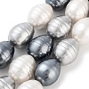 Electroplated Shell Pearl Beads Strands BSHE-H110-01-04-1