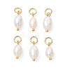 Natural Cultured Freshwater Pearl Pendants PALLOY-JF05443-03-1