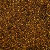 TOHO 6/0 Round Beads SEED-XTR06-2155-3