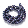 Natural Keshi Pearl Beads Strands PEAR-S021-155A-01-2