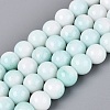 Opaque Ombre Effect Dyed Glass Beads Strands GLAA-Q106-04A-07-1