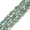 Natural Freshwater Shell Dyed Beads Strands X-SHEL-M018-13-11-1