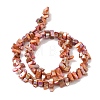 Natural Freshwater Shell Beads Strands BSHE-H018-07D-2