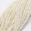 Natural White Shell Beads X-G-N0190-11-2mm-1