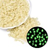 FGB Grade A Frosted Glass Seed Beads SEED-Q040-04A-10-1