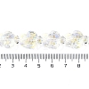 Transparent Glass Enamel Beads Strands GLAA-B021-06L-4