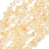 Natural Citrine Beads Strands G-P332-51-2