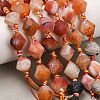 Natural Weathered Agate Beads Strands G-A321-G02-01-1