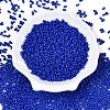 Baking Paint Glass Seed Beads SEED-A033-04E-2