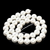 Shell Pearl Beads Strands BSHE-K015-10mm-04-4