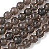 Natural Ice Obsidian Beads Strands G-P590-A03-8mm-01-2