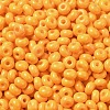 Baking Paint Glass Seed Beads X1-SEED-B001-02A-17-3