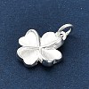 925 Sterling Silver Charms FIND-Z069-04S-C-3
