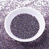 MIYUKI Delica Beads SEED-X0054-DB1244-2