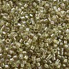 MIYUKI Delica Beads SEED-X0054-DB1766-3