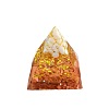 Orgonite Pyramid Resin Energy Generators PW-WGE9C45-01-5