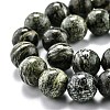 Natural Green Zebra Jasper Beads Strands G-L574-05C-3