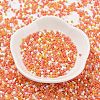 Baking Paint Glass Seed Beads X-SEED-S042-05B-45-2