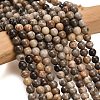Natural Fossil Coral Beads Strands G-C288-A01-6mm-1