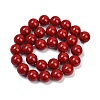 Shell Pearl Beads Strands X-BSHE-K015-14mm-01-2
