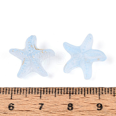Frosted Glass Beads FGLA-T005-01B-1