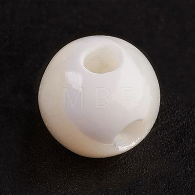 Natural White Shell Beads SSHEL-G014-80-1