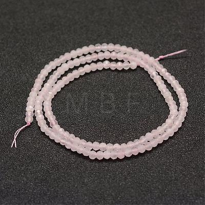 Natural Rose Quartz Beads Strands G-F460-10-1