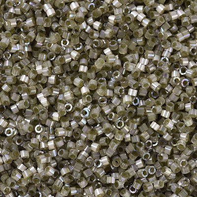 MIYUKI Delica Beads SEED-JP0008-DB1876-1