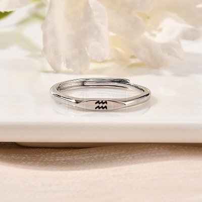 Rhodium Plated 925 Sterling Silver Adjustable Rings RJEW-S397-01P-10-1