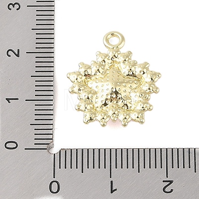 Rack Plating Alloy with Rhinestone Pendants FIND-B037-03G-03-1