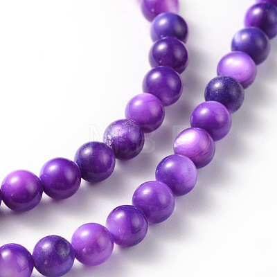 Natural Shell Beads Strands M-PRS001Y-1