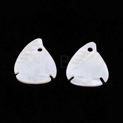 Natural Freshwater Shell Charms SHEL-N026-202-1