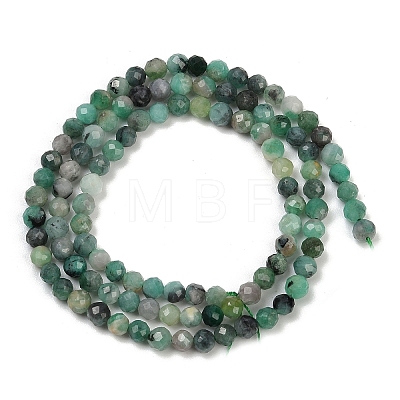 Natural Emerald Beads Strands G-M092-D01-02-1