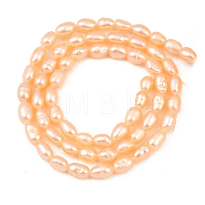 Natural Cultured Freshwater Pearl Beads Strands PEAR-F020-26B-1