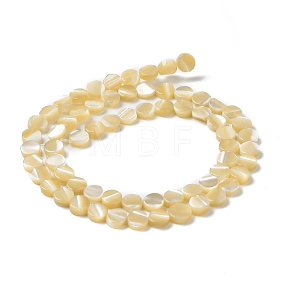 Natural Trochus Shell Beads Strands BSHE-P033-02-1